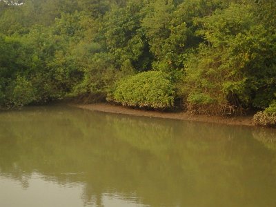 BhitarKanikaO (292)