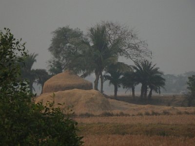 BhitarKanikaO (303)