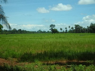 BakongTemple1 (123)