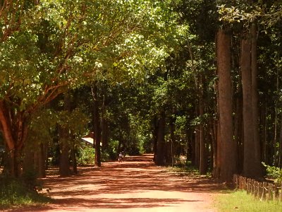 BakongTemple1 (95)