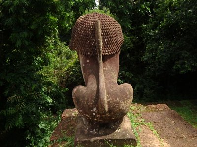 Mebon1 (11)