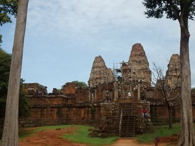 Mebon1 (2)