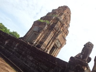 Mebon1 (29)