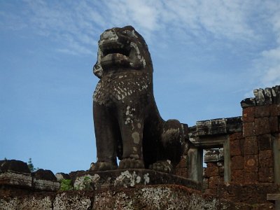 Mebon1 (5)