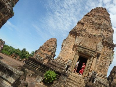 Mebon1 (54)