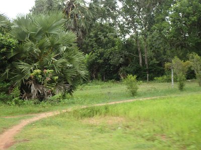 Pre rup temple1 (1)