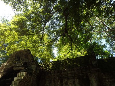 TaProhm1 (103)