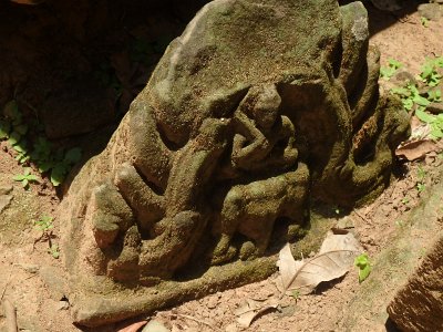 TaProhm1 (113)