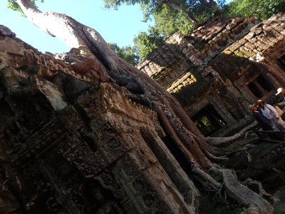 TaProhm1 (20)