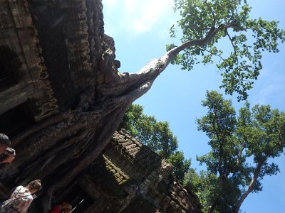 TaProhm1 (21)