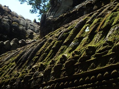 TaProhm1 (34)