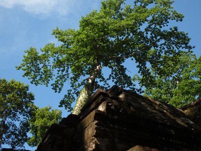 TaProhm1 (43)