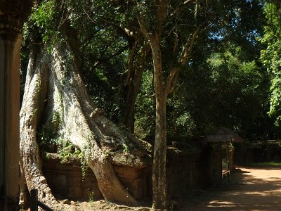 TaProhm1 (49)