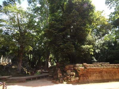 TaProhm1 (54)