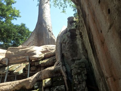 TaProhm1 (57)