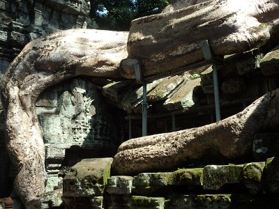 TaProhm1 (58)