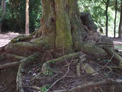 TaProhm1 (6)