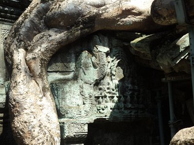 TaProhm1 (60)