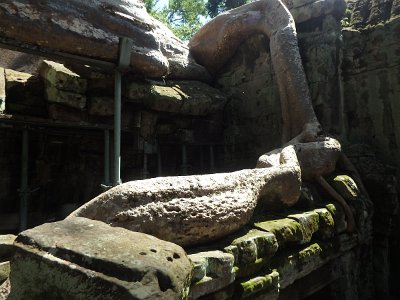 TaProhm1 (61)