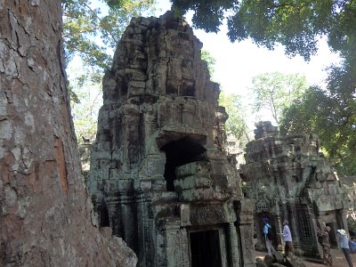 TaProhm1 (63)