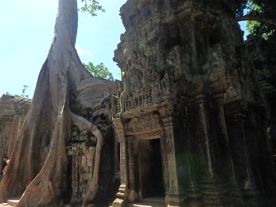 TaProhm1 (66)