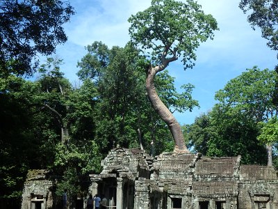 TaProhm1 (7)