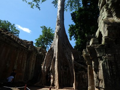 TaProhm1 (71)