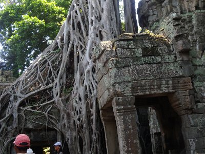 TaProhm1 (84)