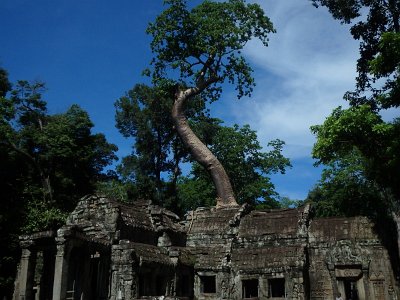 TaProhm1 (9)