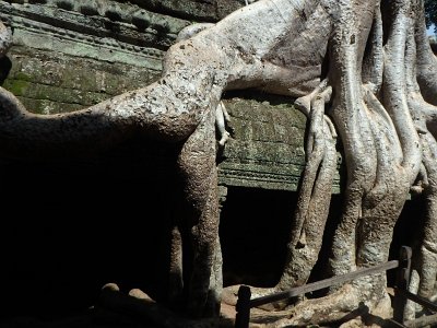 TaProhm1 (94)