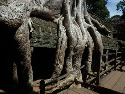 TaProhm1 (95)