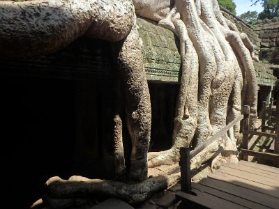 TaProhm1 (96)