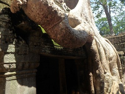 TaProhm1 (97)