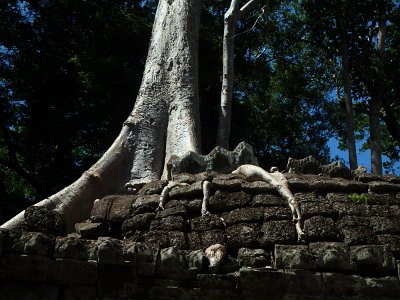 TaProhm1 (98)