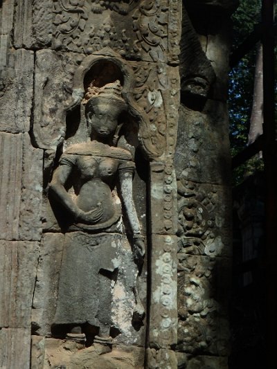 Taprohm2 (1)