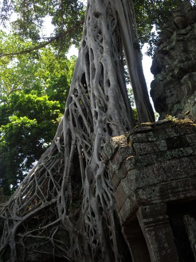 Taprohm2 (12)