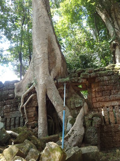 Taprohm2 (24)