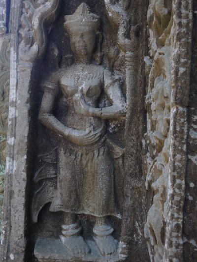 Taprohm2 (25)