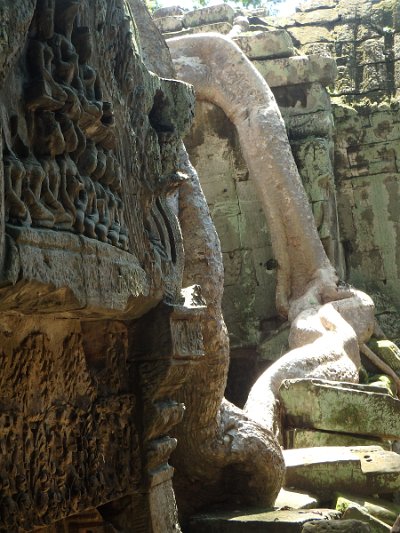 Taprohm2 (8)