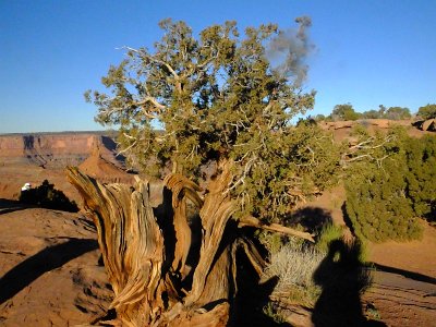 CanyonArch (75)