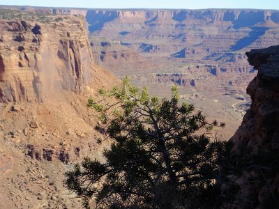 CanyonLand (11)