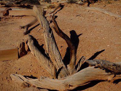 CanyonLand (19)