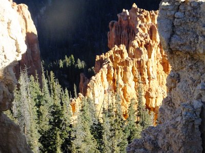 Bryce2621 (11)