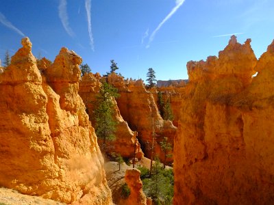 Bryce2621 (265)