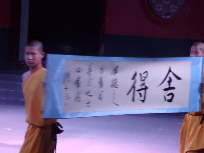 ShaolinKungFu1 (7)