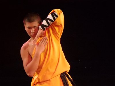 ShaolinKungFu1 (72)