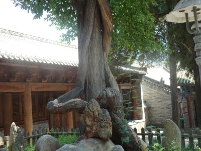 ShaolinTemple1a (99)