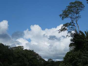 CostaRica1122 (205)