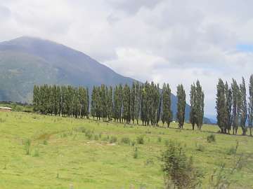 Puerto Chacabuco (228)