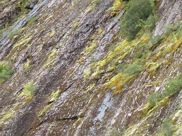 Puerto Chacabuco (61)